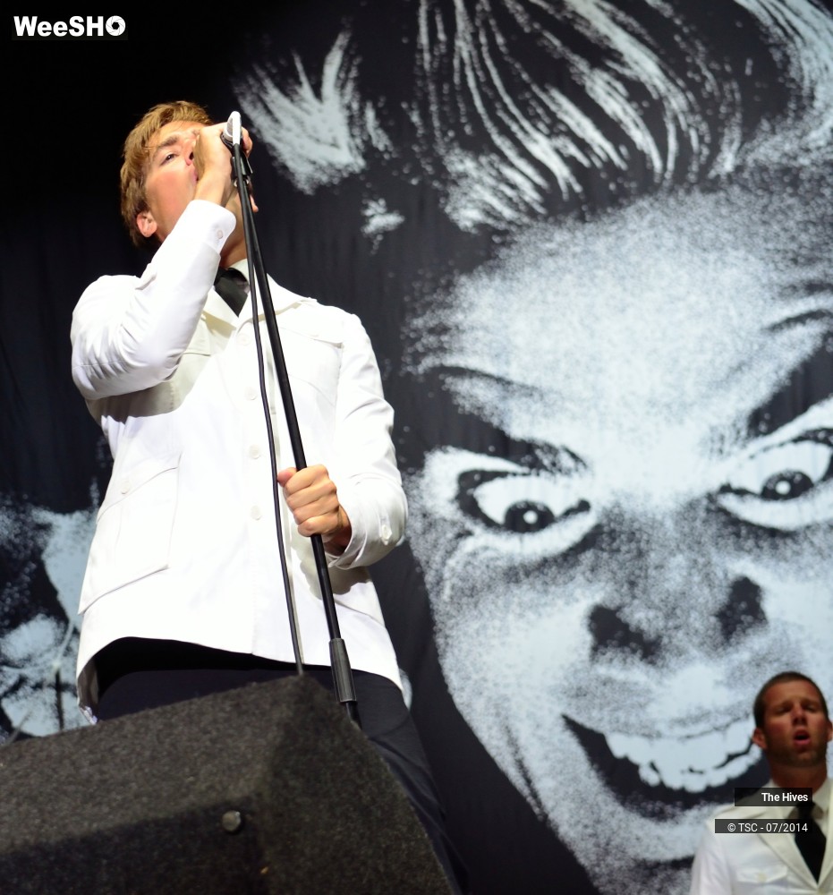 33/40 photos du spectacle The hives