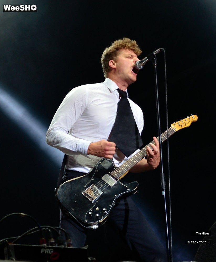 34/40 photos du spectacle The hives