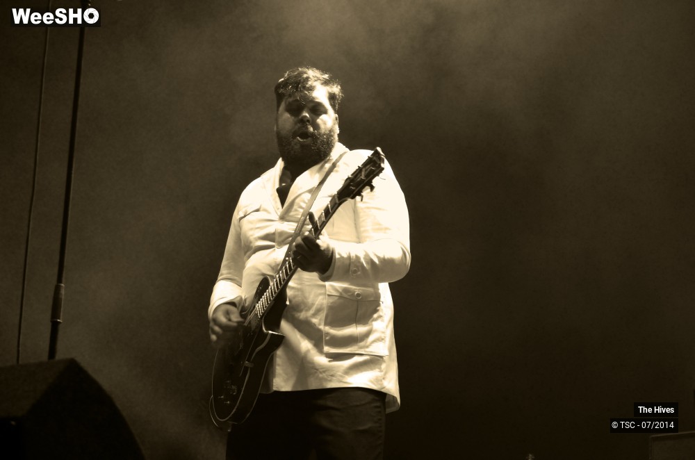 36/40 photos du spectacle The hives