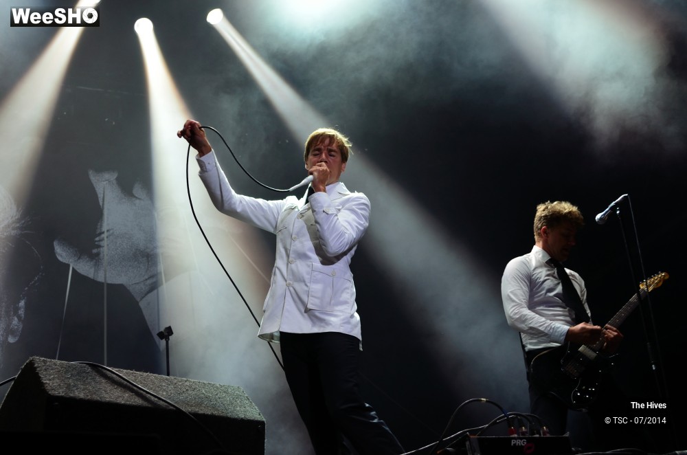 37/40 photos du spectacle The hives