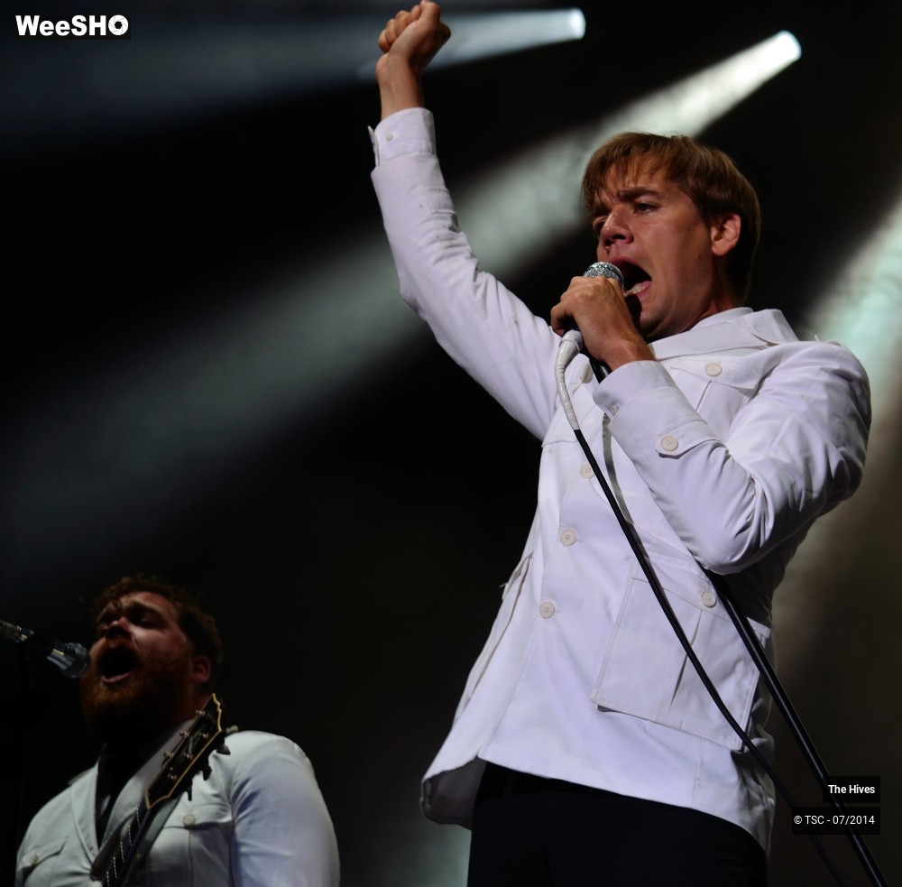 38/40 photos du spectacle The hives