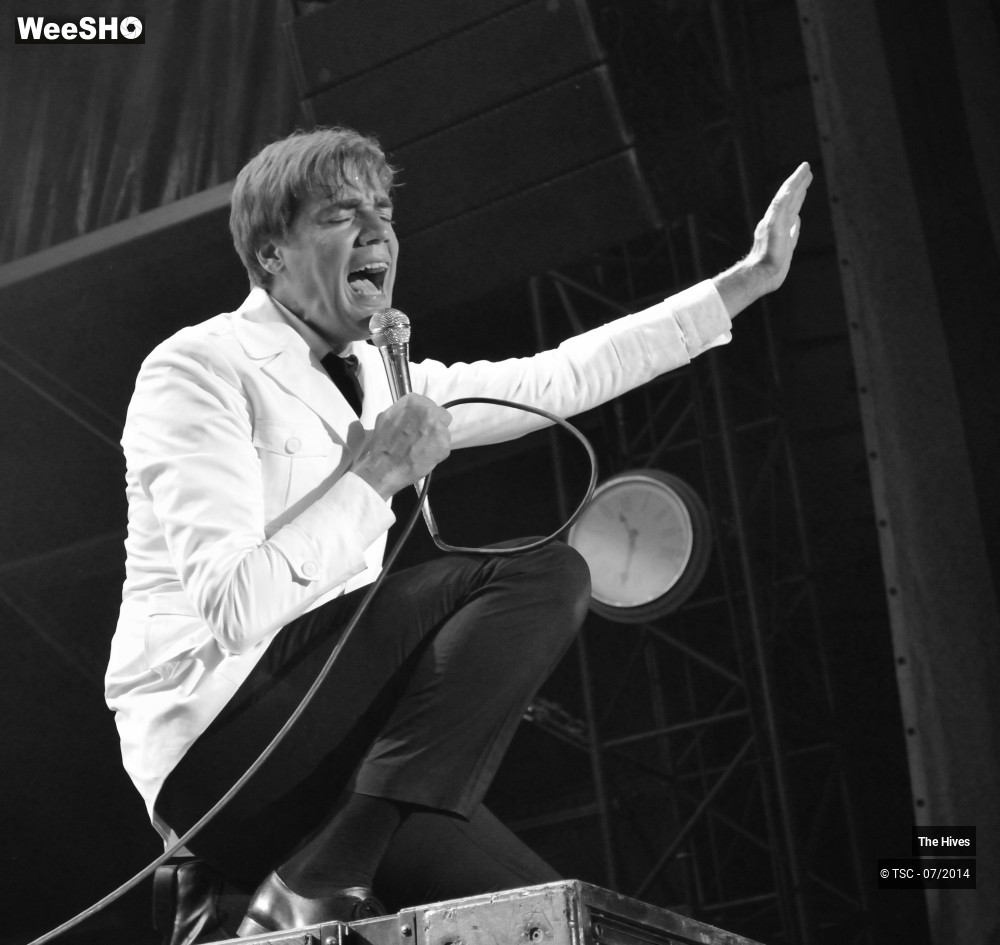39/40 photos du spectacle The hives