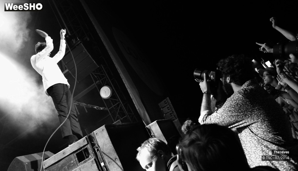 40/40 photos du spectacle The hives