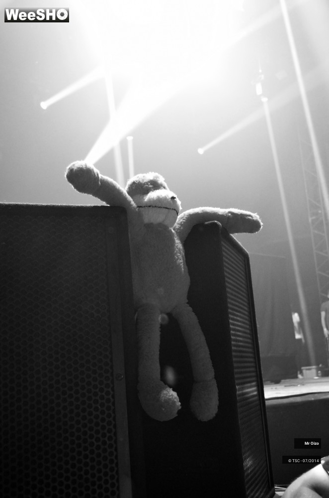 5/12 photos du spectacle Mr Oizo