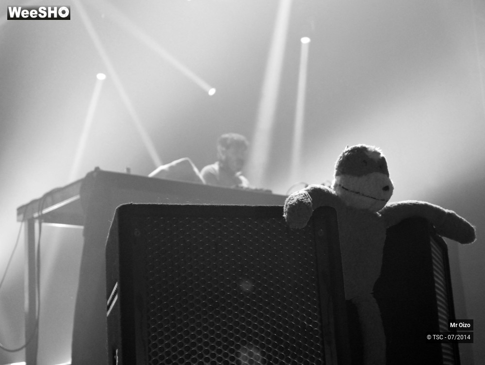 6/12 photos du spectacle Mr Oizo