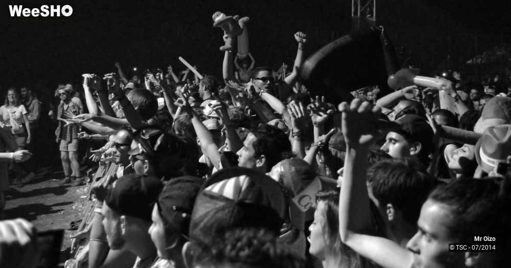 8/12 photos du spectacle Mr Oizo