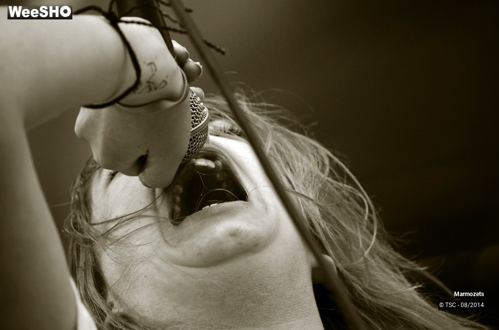 17/17 photos du spectacle Marmozets