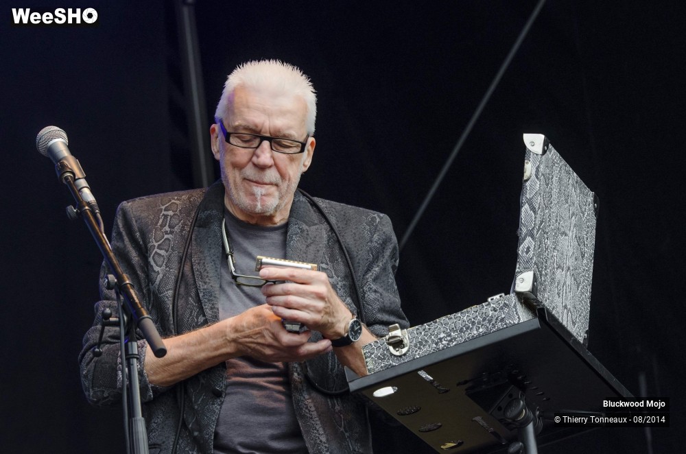 17/33 photos du spectacle Bluckwood Mojo