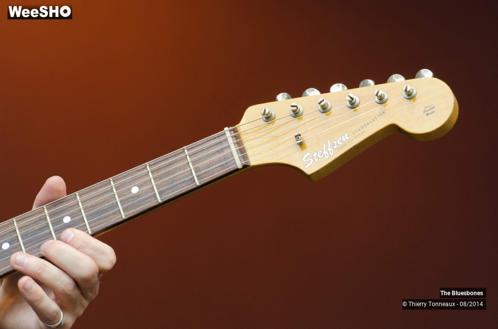 14/37 photos du spectacle The Bluesbones