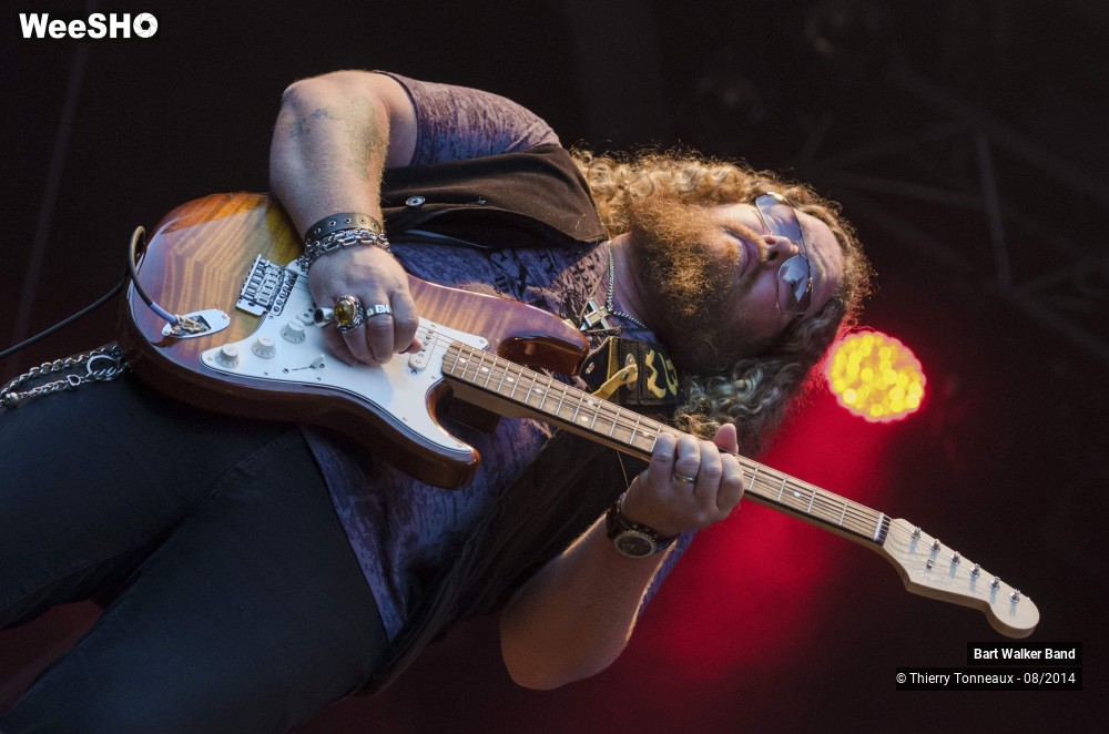 22/24 photos du spectacle Bart Walker Band