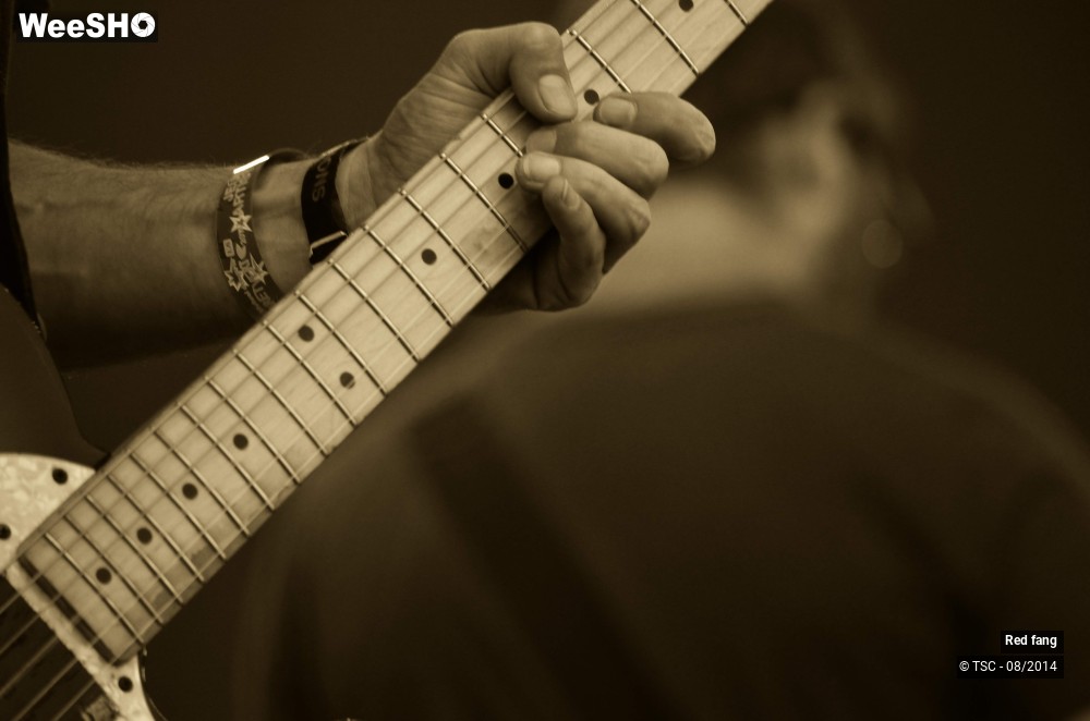 7/9 photos du spectacle Red fang