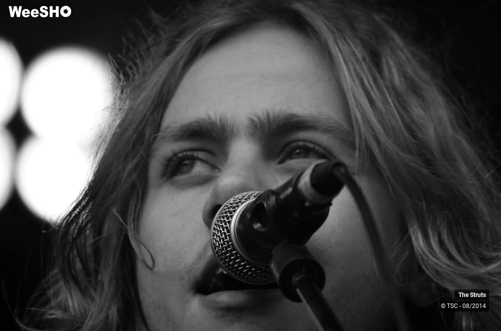 11/26 photos du spectacle The Struts