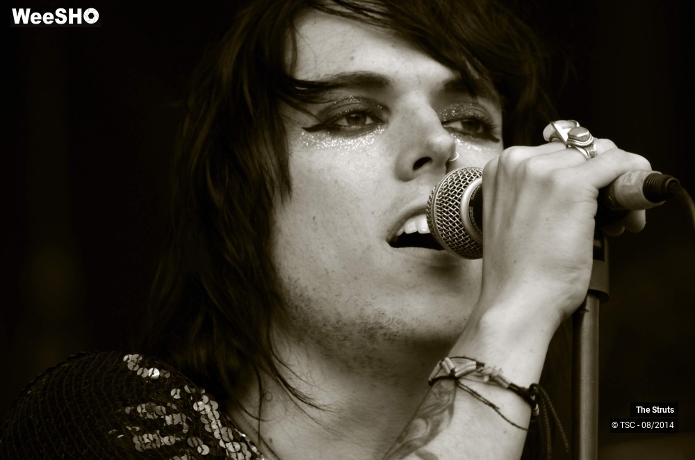 15/26 photos du spectacle The Struts