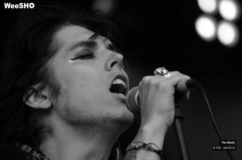 20/26 photos du spectacle The Struts