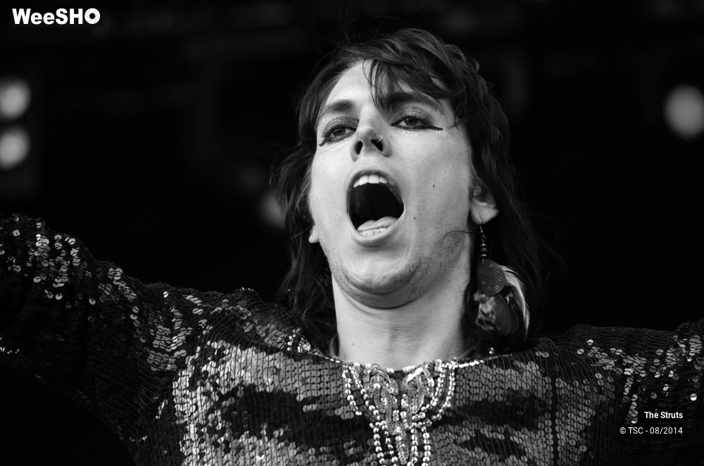 23/26 photos du spectacle The Struts