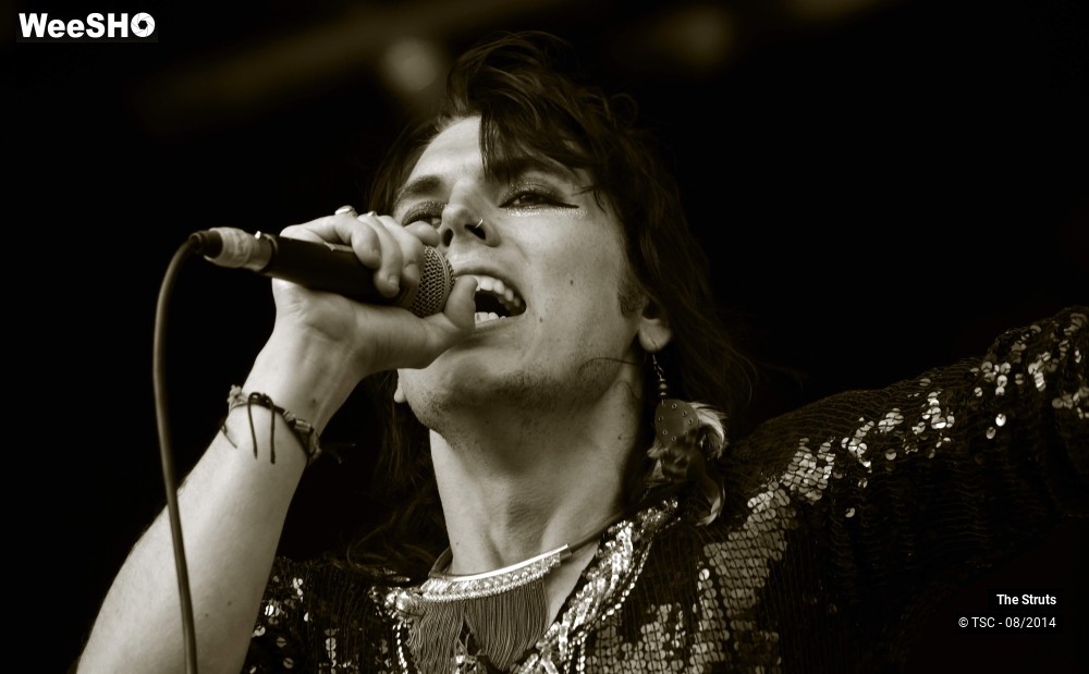 25/26 photos du spectacle The Struts