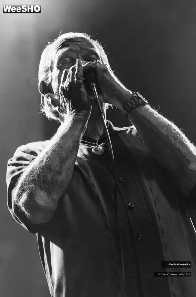 1/38 photos du spectacle Charlie Musselwhite