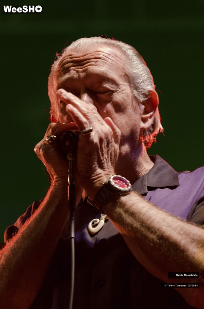 4/38 photos du spectacle Charlie Musselwhite