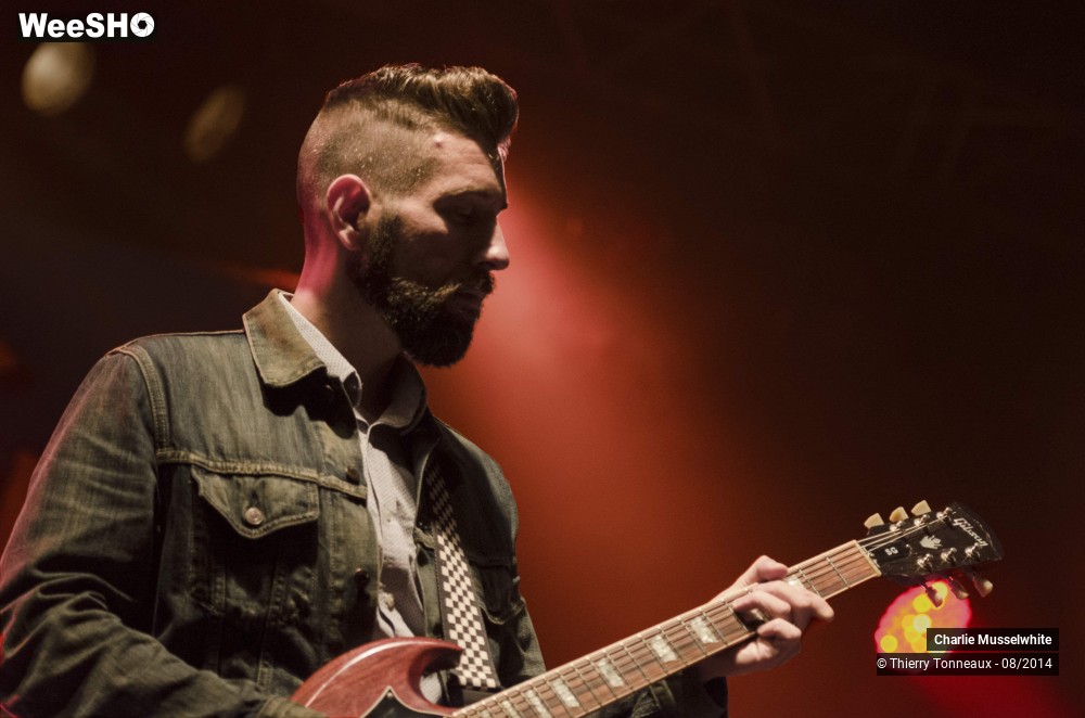 8/38 photos du spectacle Charlie Musselwhite