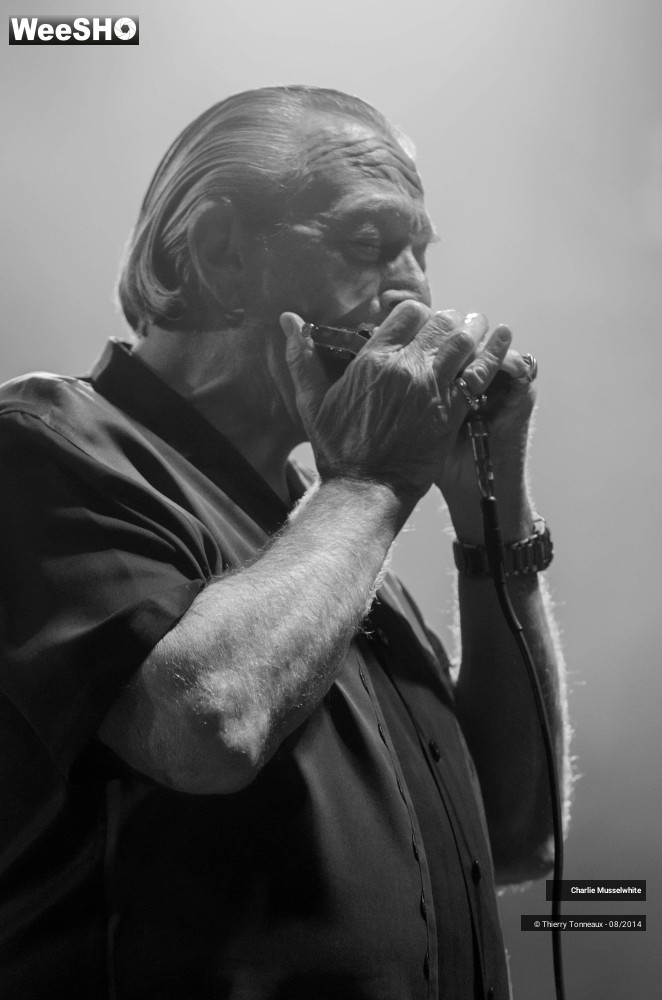 10/38 photos du spectacle Charlie Musselwhite