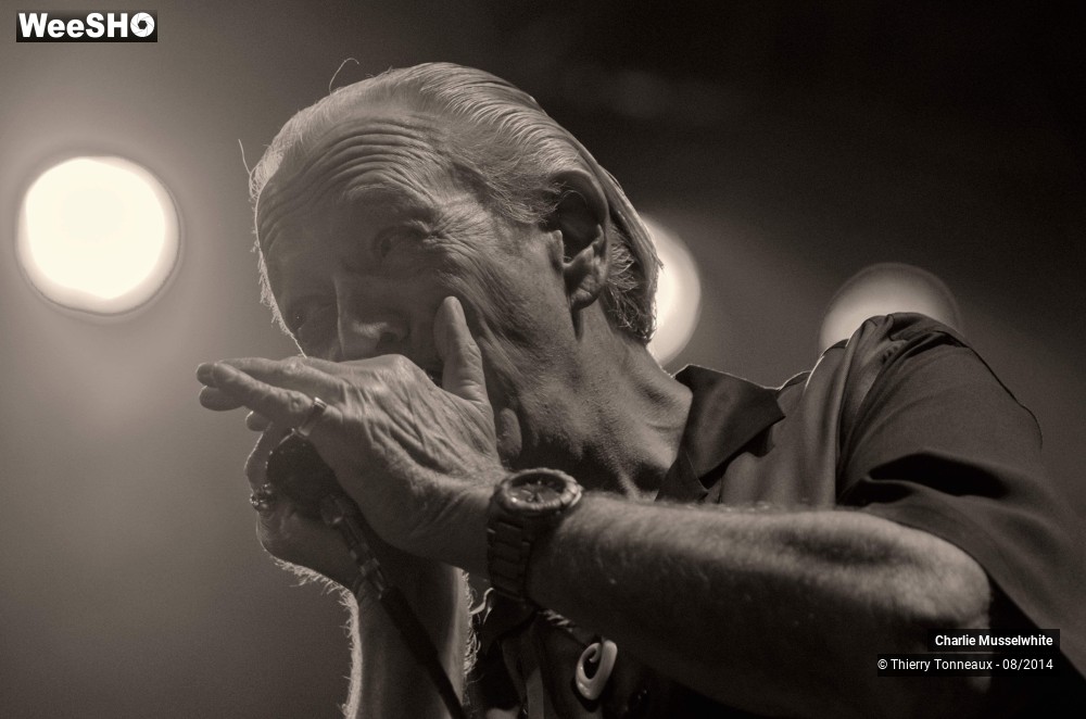 13/38 photos du spectacle Charlie Musselwhite