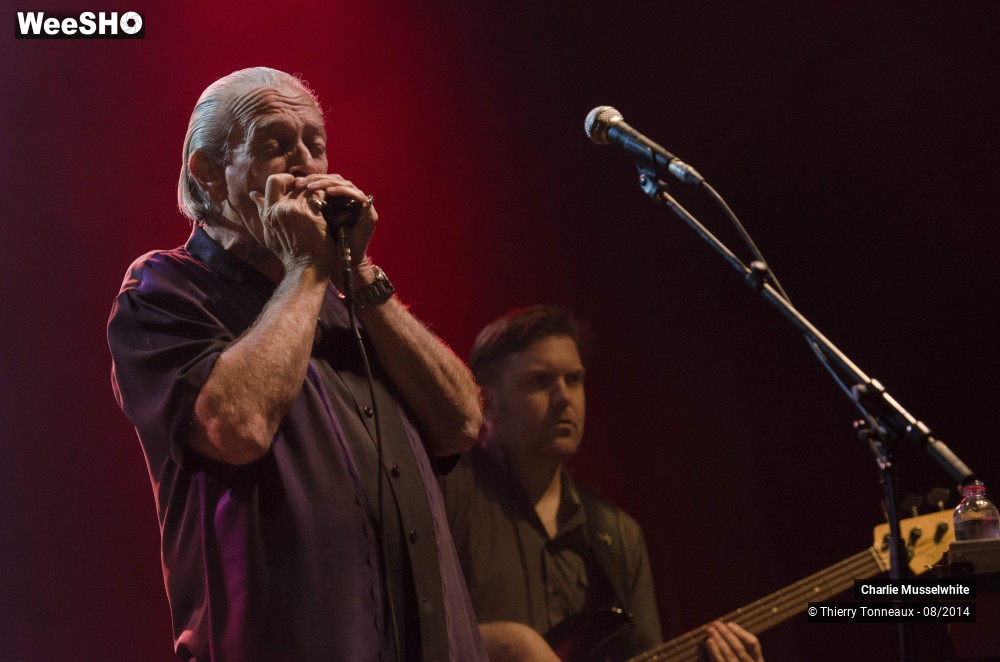 15/38 photos du spectacle Charlie Musselwhite