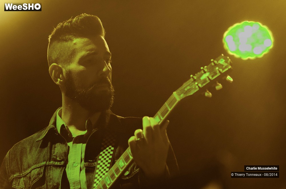 17/38 photos du spectacle Charlie Musselwhite