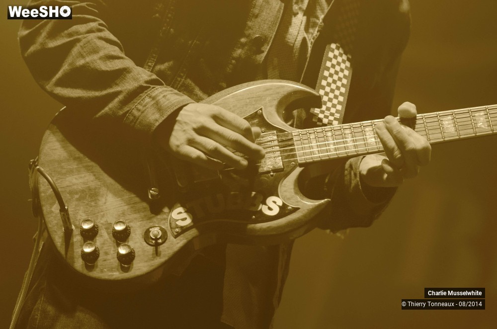 27/38 photos du spectacle Charlie Musselwhite