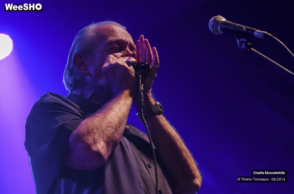 30/38 photos du spectacle Charlie Musselwhite