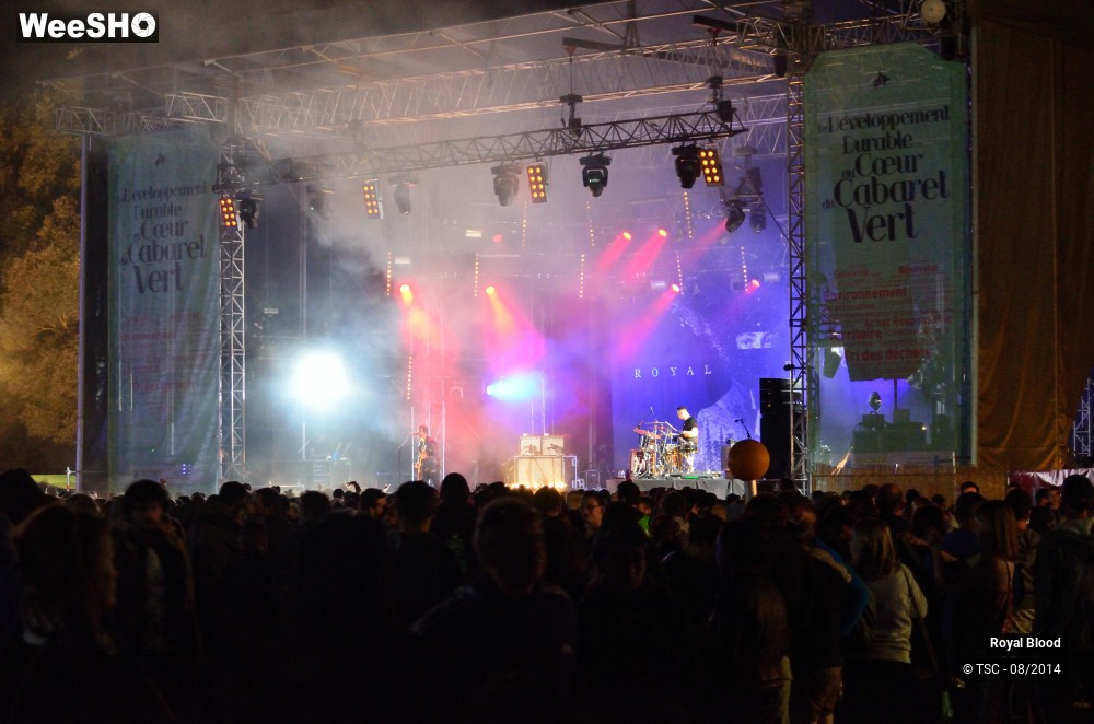 1/14 photos du spectacle Royal Blood