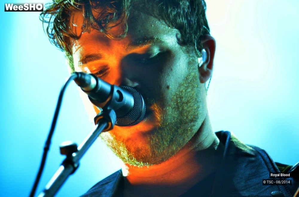 2/14 photos du spectacle Royal Blood