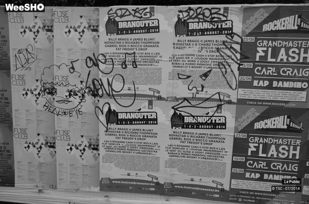 29/49 photos du spectacle Ambiance Festival de Dour 2014 Jour 3