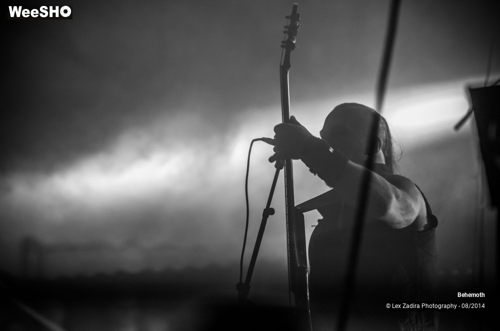 5/12 photos du spectacle Behemoth