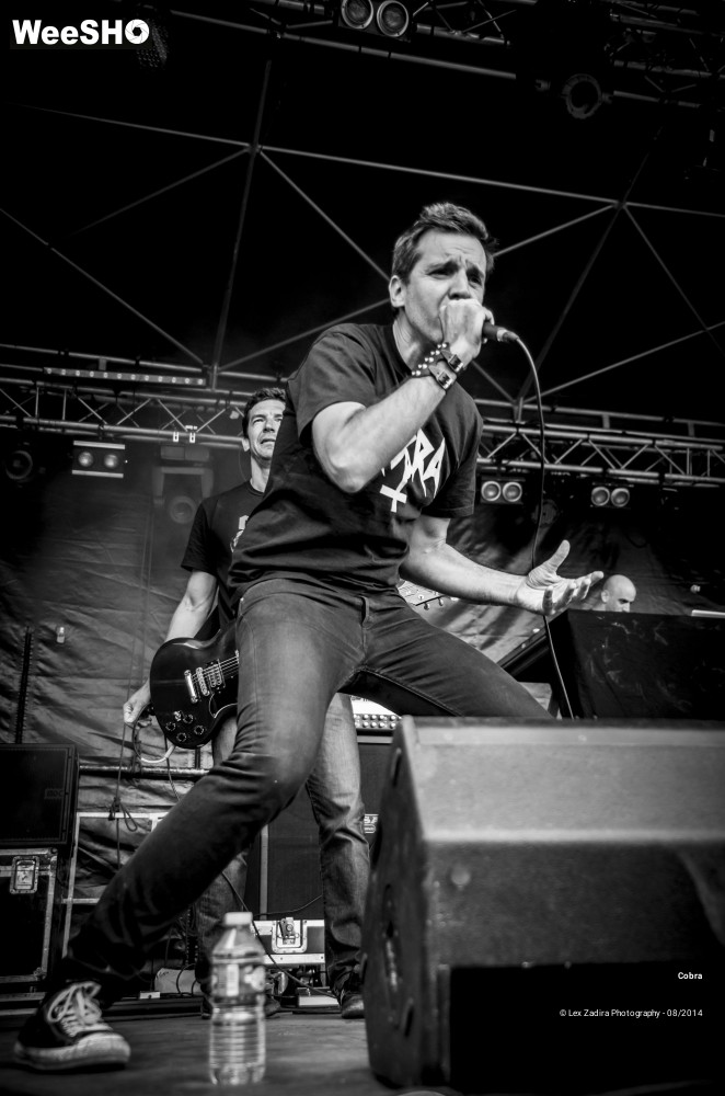 3/15 photos du spectacle Cobra