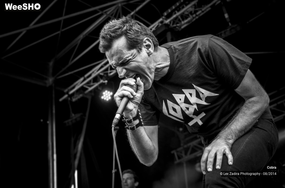 4/15 photos du spectacle Cobra