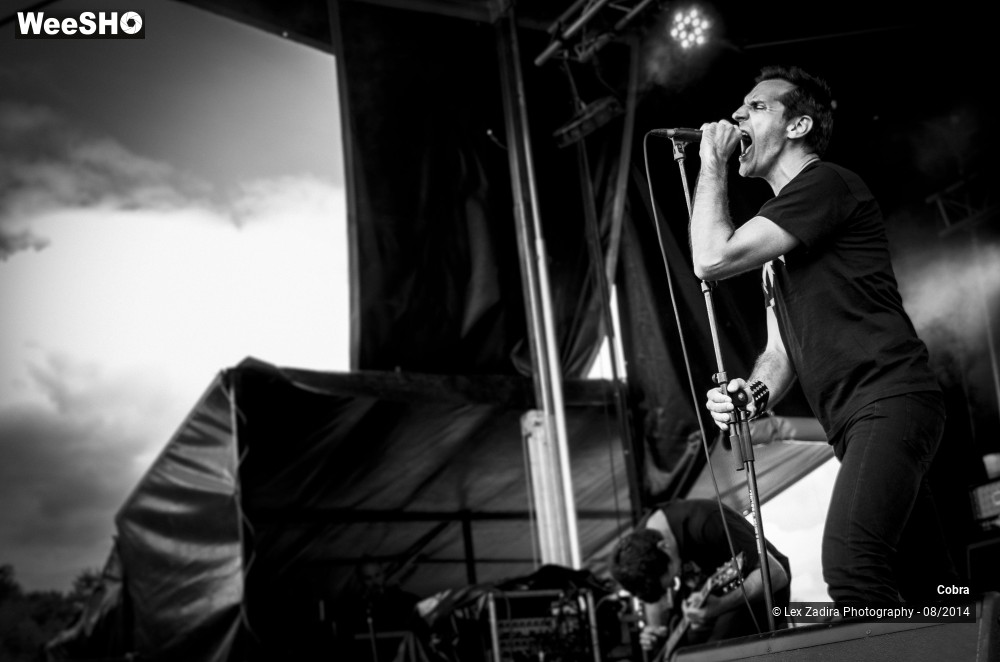 5/15 photos du spectacle Cobra