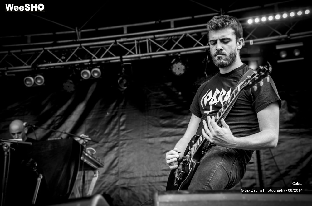 6/15 photos du spectacle Cobra