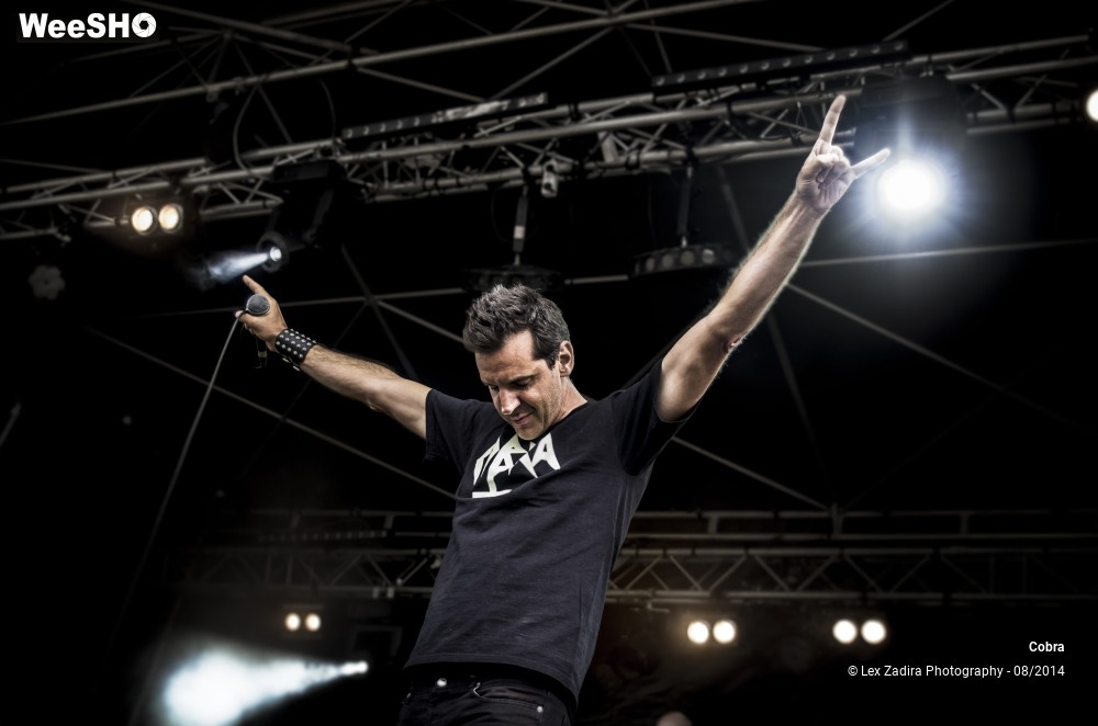 8/15 photos du spectacle Cobra