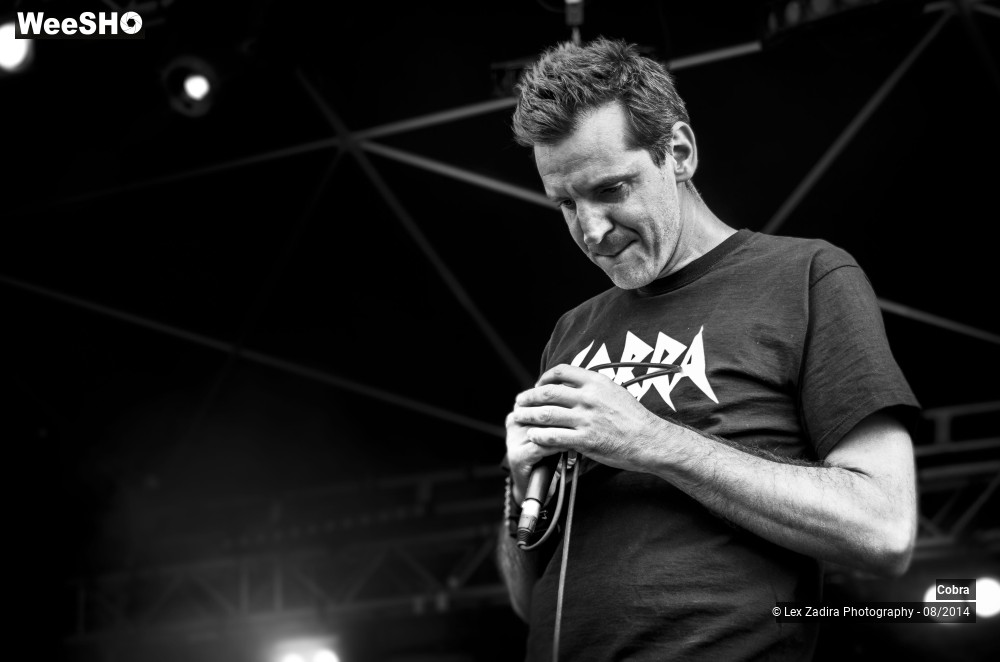 10/15 photos du spectacle Cobra