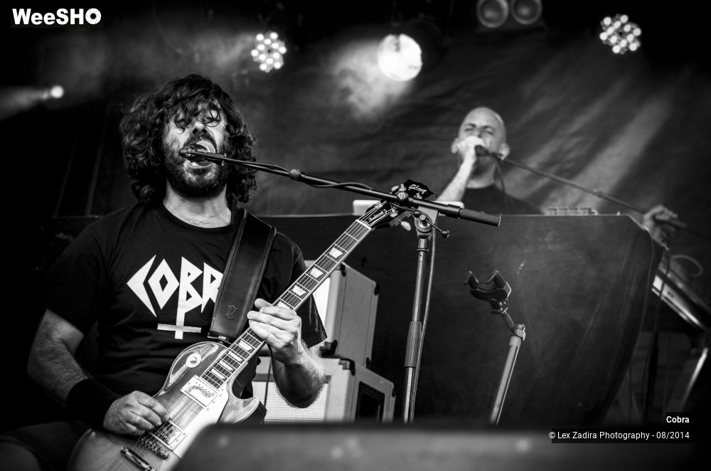 11/15 photos du spectacle Cobra