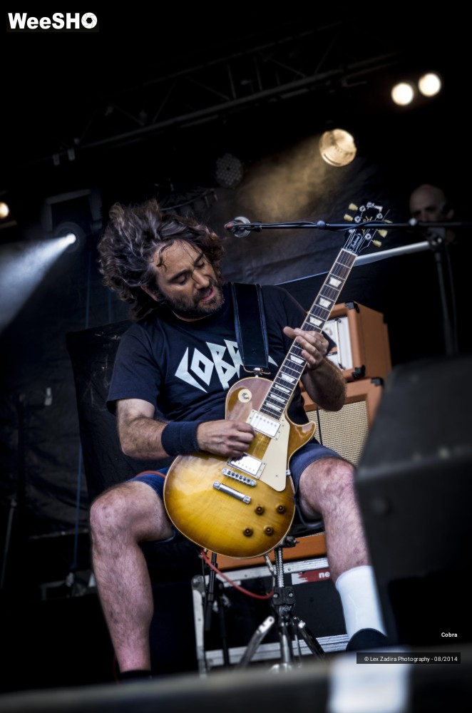 13/15 photos du spectacle Cobra