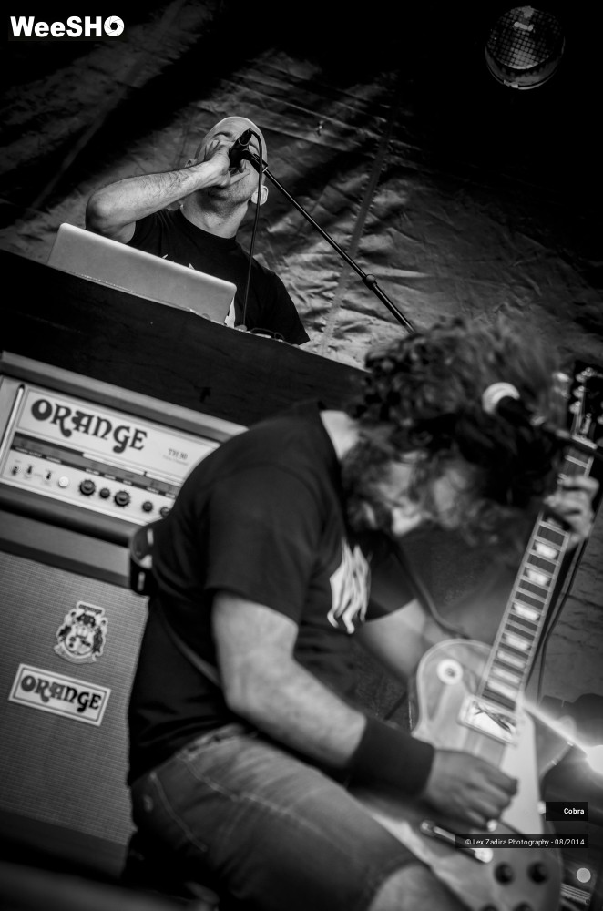 15/15 photos du spectacle Cobra