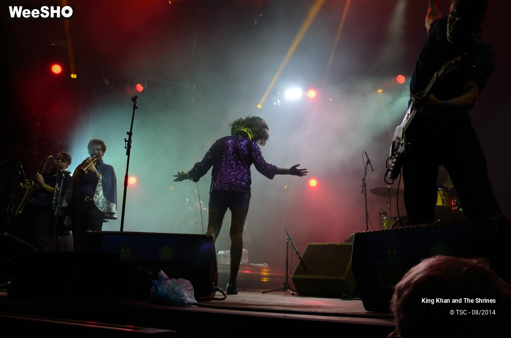 23/28 photos du spectacle King Khan and The Shrines