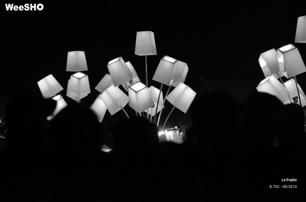 3/16 photos du spectacle Ambiance Cabaret Vert 2014 Jour 1