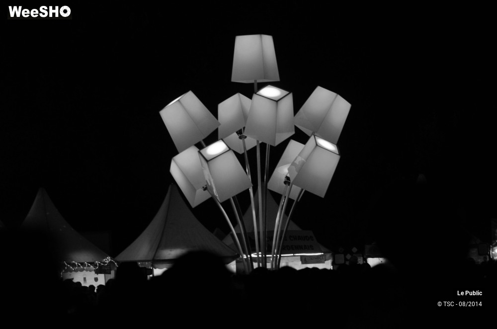 8/16 photos du spectacle Ambiance Cabaret Vert 2014 Jour 1