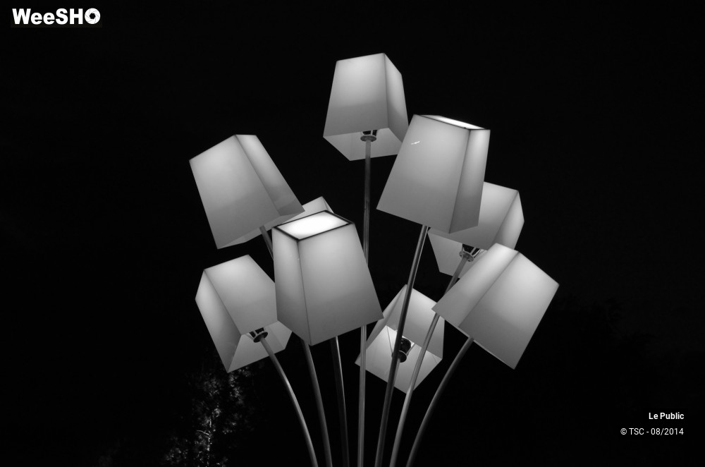 11/16 photos du spectacle Ambiance Cabaret Vert 2014 Jour 1