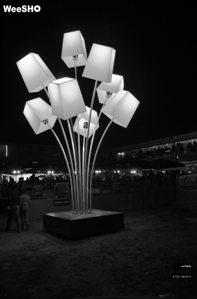 12/16 photos du spectacle Ambiance Cabaret Vert 2014 Jour 1