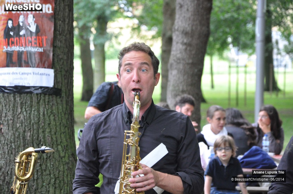 5/43 photos du spectacle Arsene Lupunk Trio