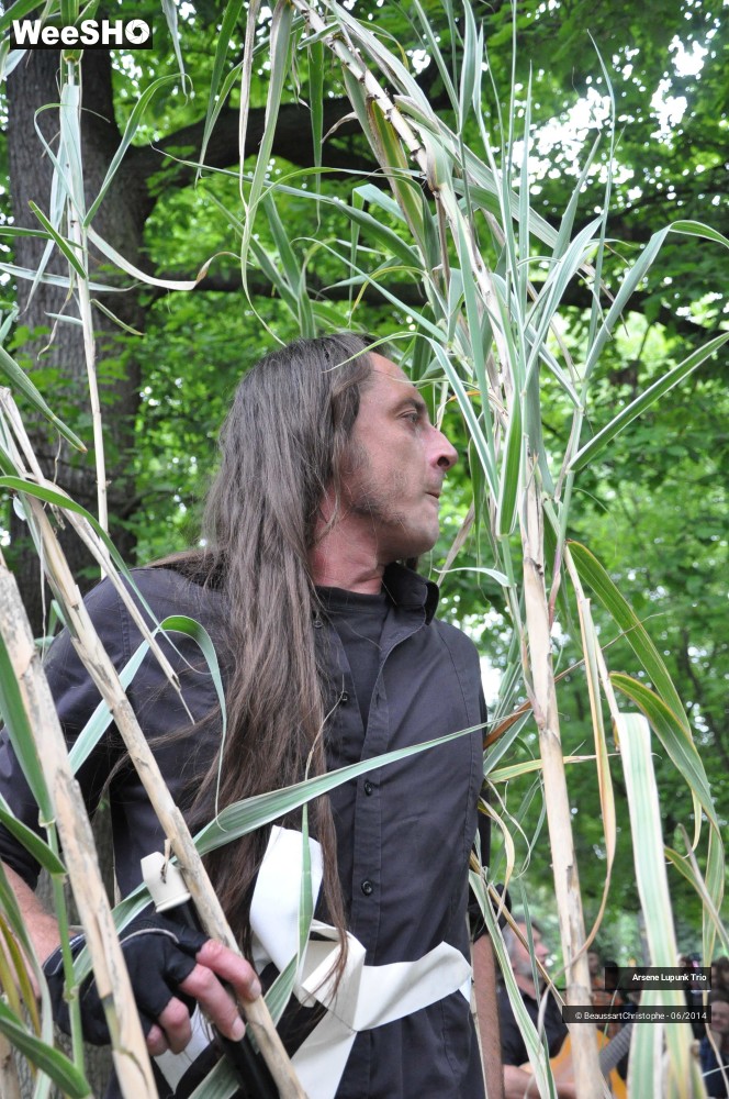 11/43 photos du spectacle Arsene Lupunk Trio