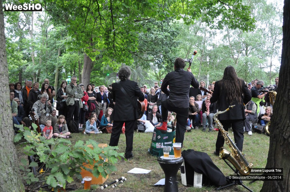 17/43 photos du spectacle Arsene Lupunk Trio